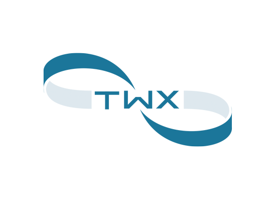 TeamWorX IT-Engineering